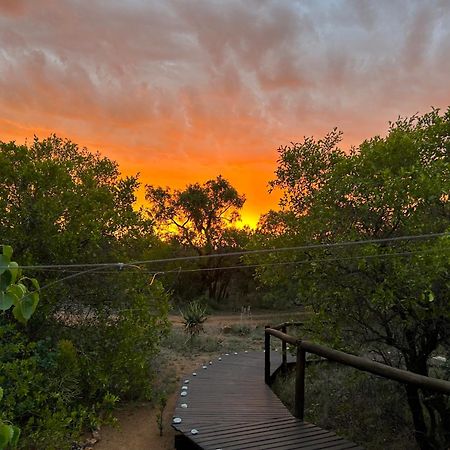 Out In Africa Wildlife Lodge Hammanskraal Eksteriør billede