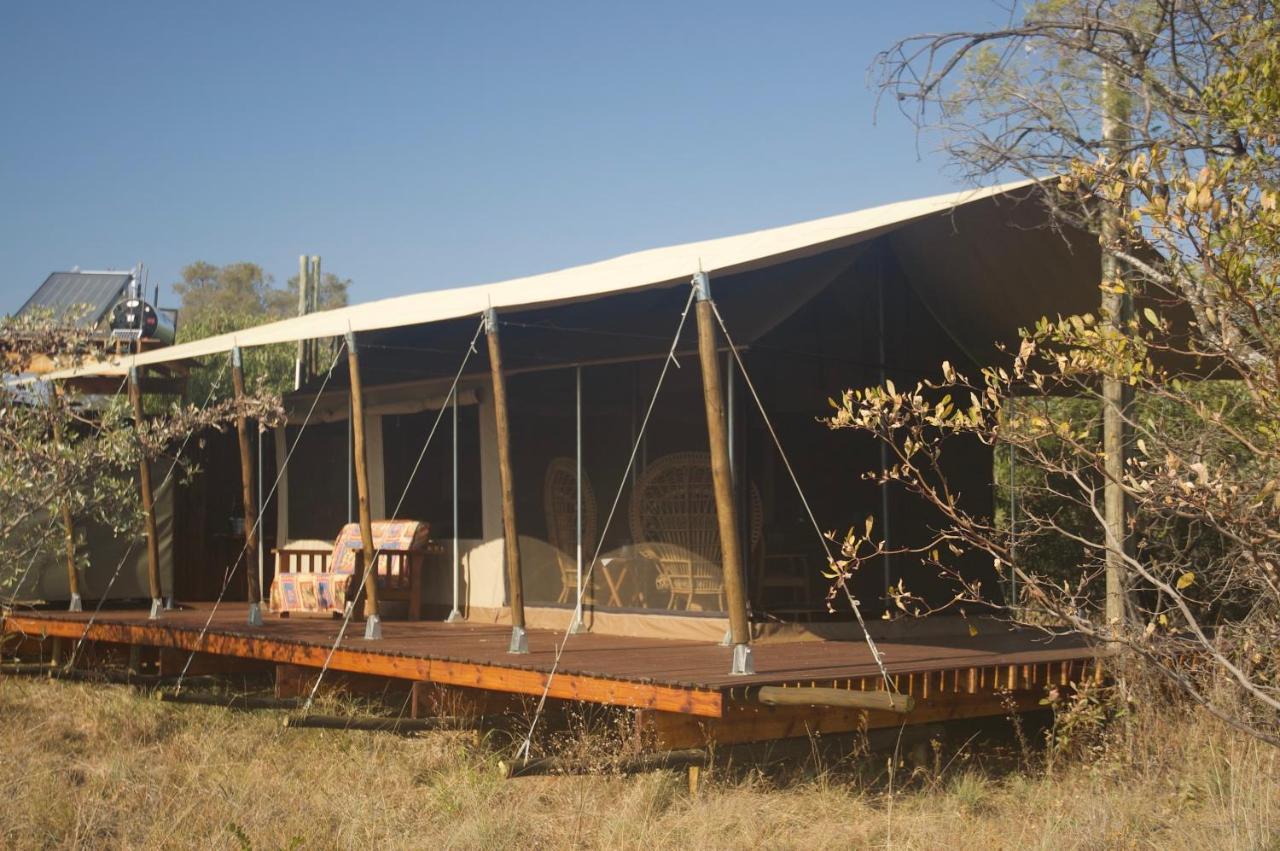 Out In Africa Wildlife Lodge Hammanskraal Eksteriør billede
