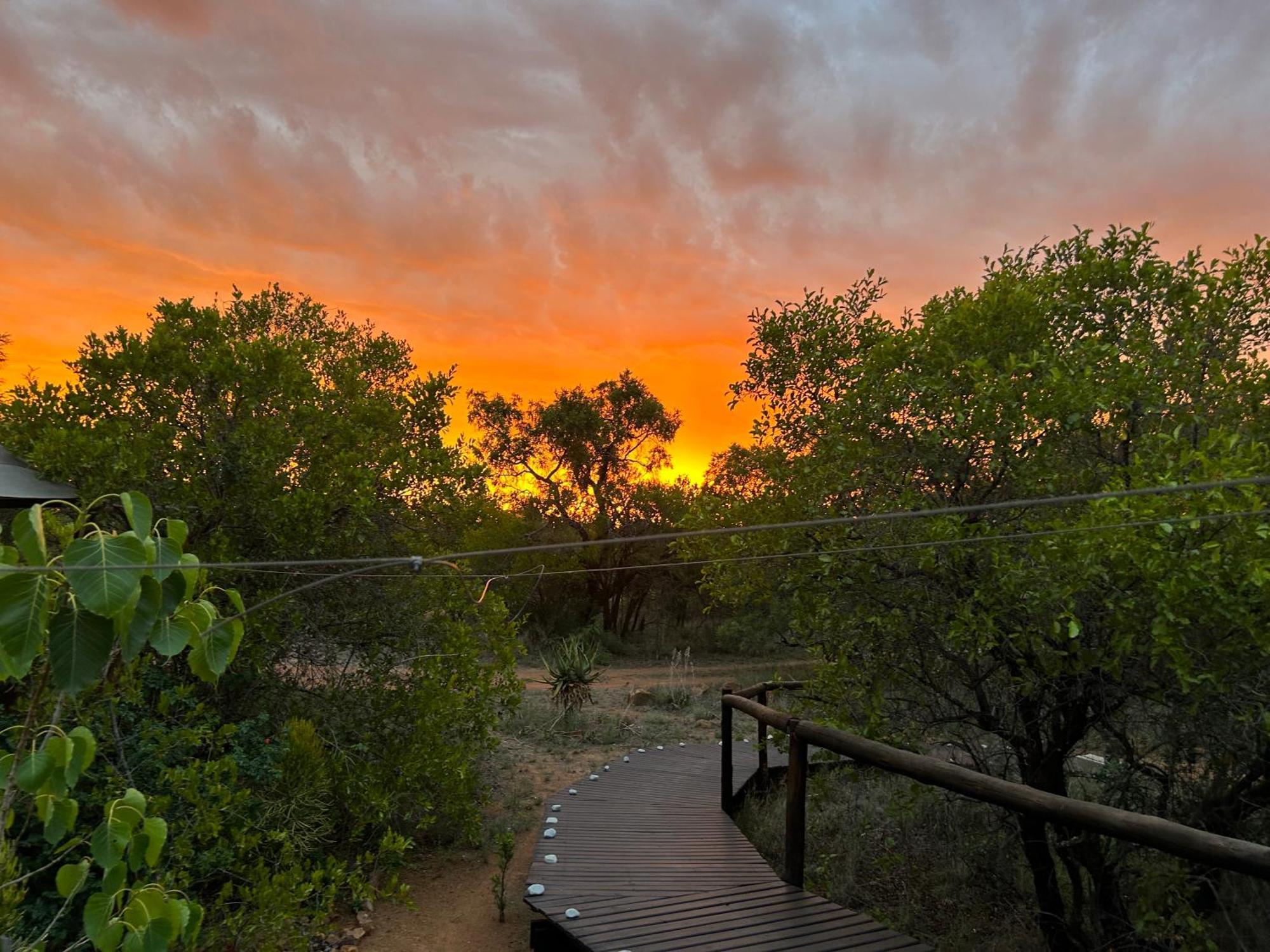 Out In Africa Wildlife Lodge Hammanskraal Eksteriør billede