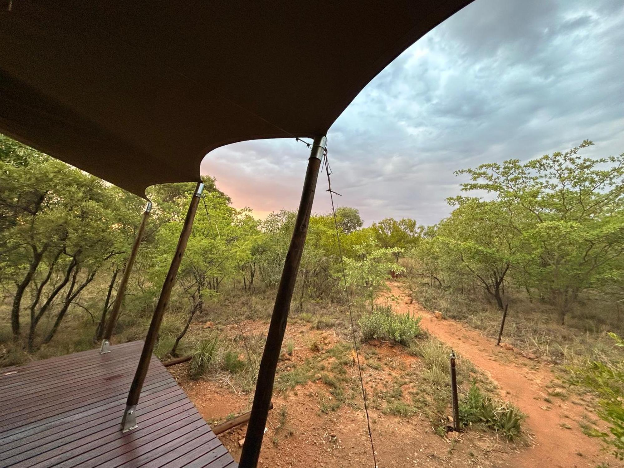 Out In Africa Wildlife Lodge Hammanskraal Eksteriør billede