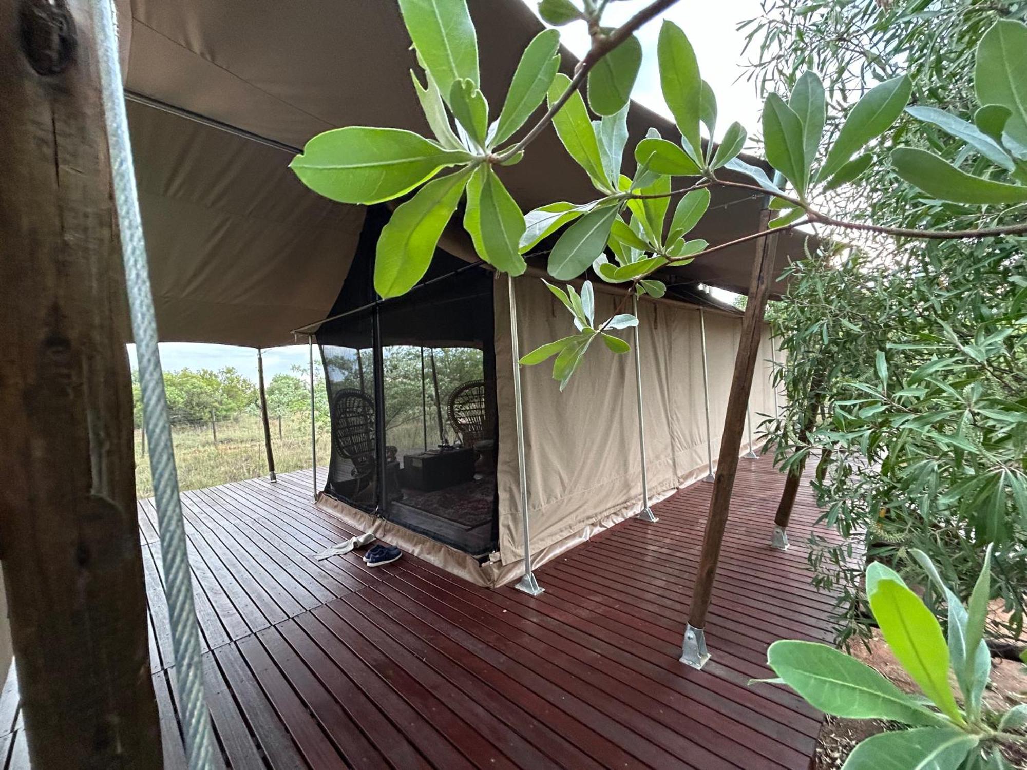 Out In Africa Wildlife Lodge Hammanskraal Eksteriør billede
