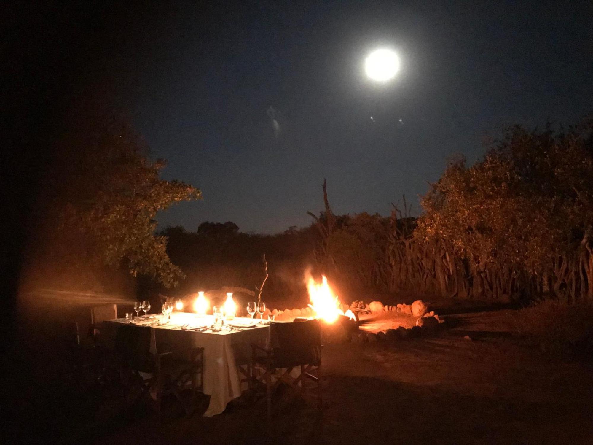 Out In Africa Wildlife Lodge Hammanskraal Eksteriør billede